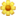 HUAN
